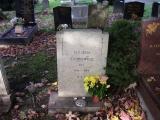 image of grave number 35250